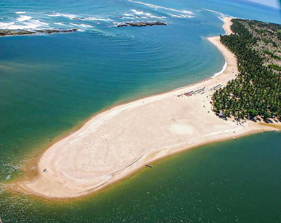 From Maceio: Gunga Beach & Full-Day Tour - What the $19 price really covers