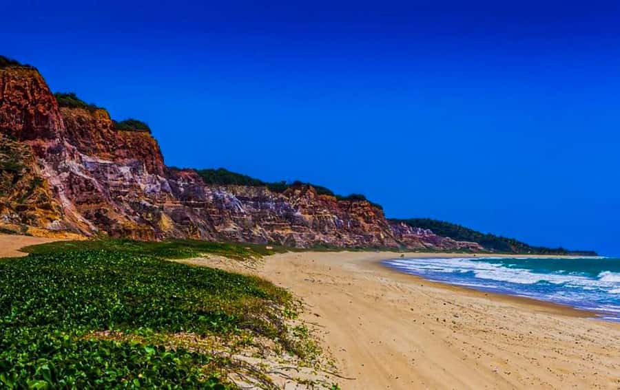 From Maceio: Gunga Beach & Full-Day Tour - Timing, guide service, and practical preparation