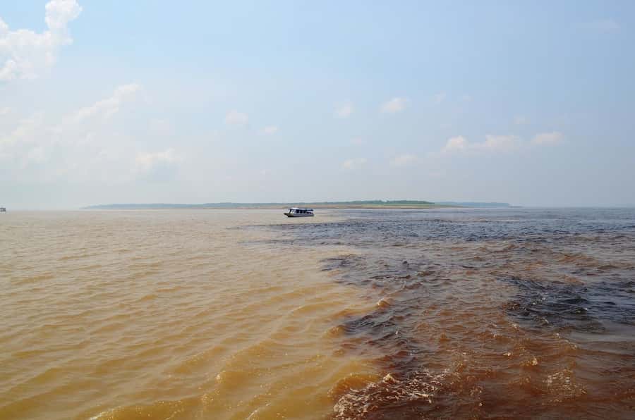 From Manaus: 3 or 4-Day Rio Negro & Anavilhanas River Cruise - Day 3 on the shorter cruise: manioc and a return to Manaus