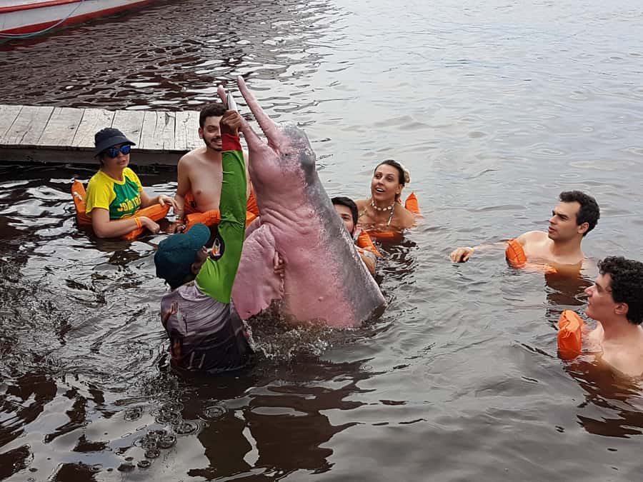 From Manaus: 3 or 4-Day Rio Negro & Anavilhanas River Cruise - Day 3 on the longer cruise: canoe wildlife and survival skills