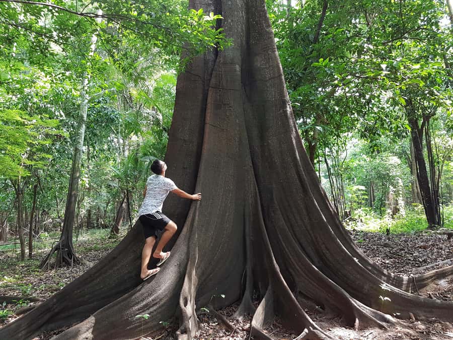 From Manaus: 3 or 4-Day Rio Negro & Anavilhanas River Cruise - Food, drinks, guides, and group size