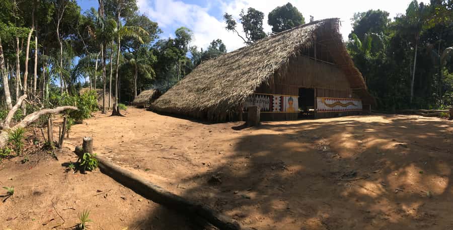 From Manaus: Negro River Half-Day Trip - Who will enjoy this half-day trip