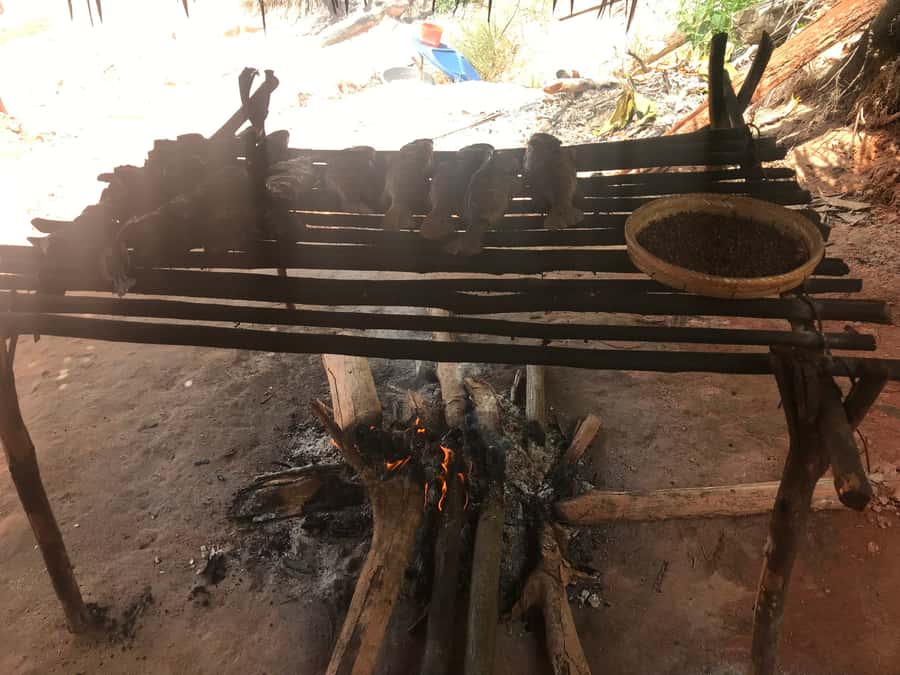From Manaus: Negro River Half-Day Trip - What to bring for the river