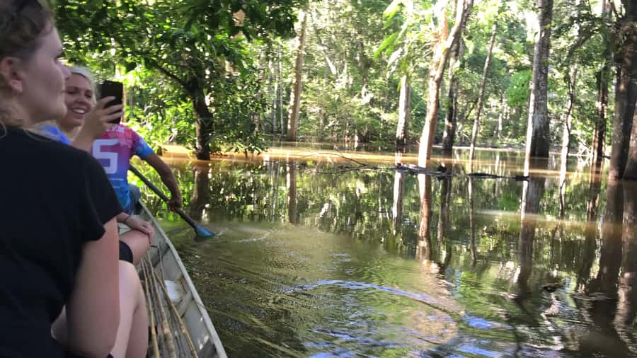 From Manaus: One-Day Amazon Jungle Experience - Key points to know before you go