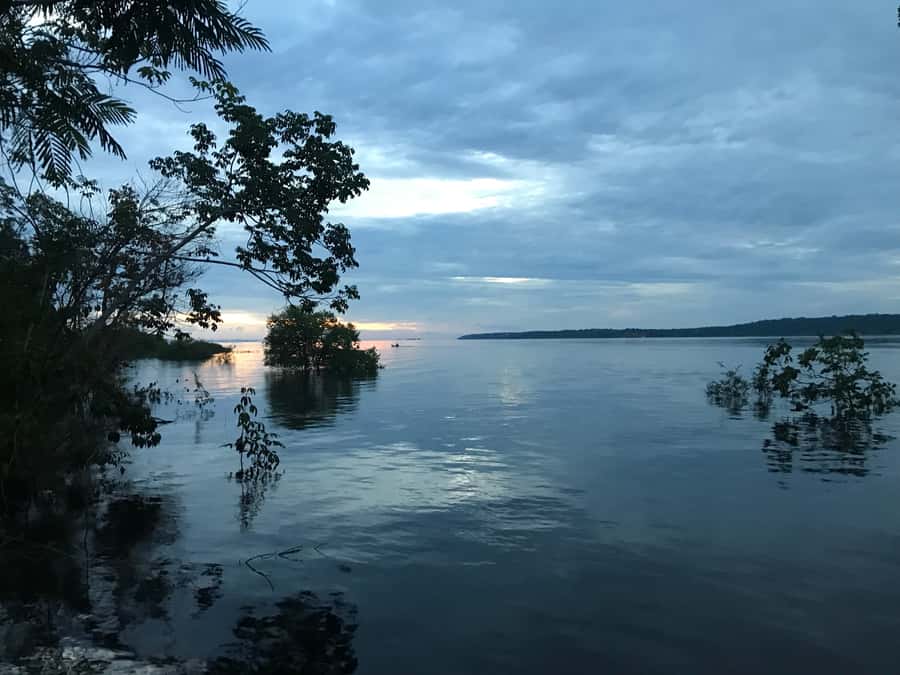 From Manaus: One-Day Amazon Jungle Experience - Why this Manaus Amazon tour packs in so much