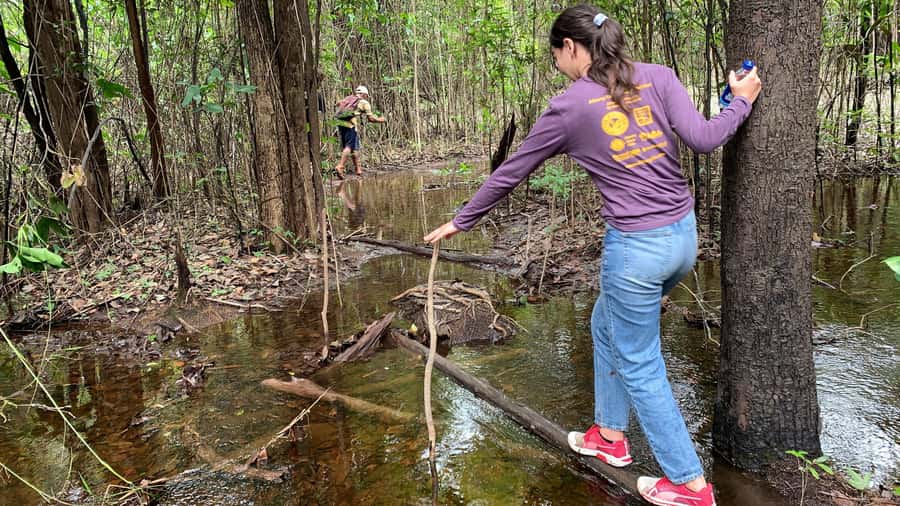 From Manaus: One-Day Amazon Jungle Experience - Three hours among Amazon plants and animals