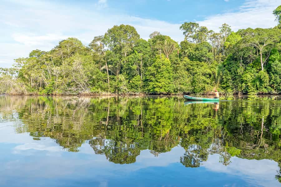From Manaus: One-Day Amazon Jungle Experience - Simple lunch with local Amazon cooking