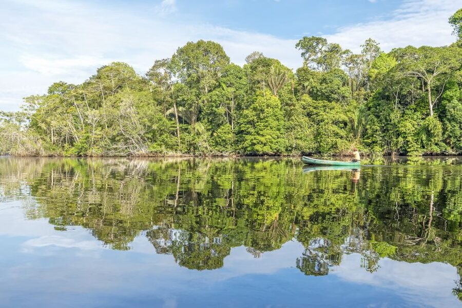 From Manaus: One-Day Amazon Jungle Experience - Wet season and dry season changes
