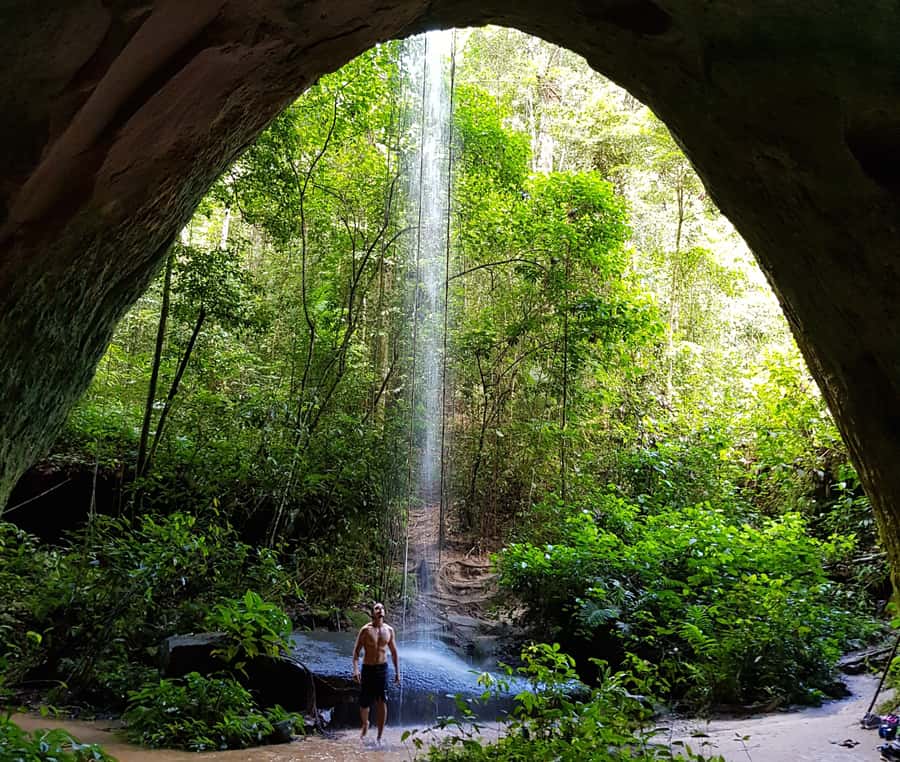 From Manaus: Presidente Figueiredo Waterfalls Daytrip - Walking through the rainforest