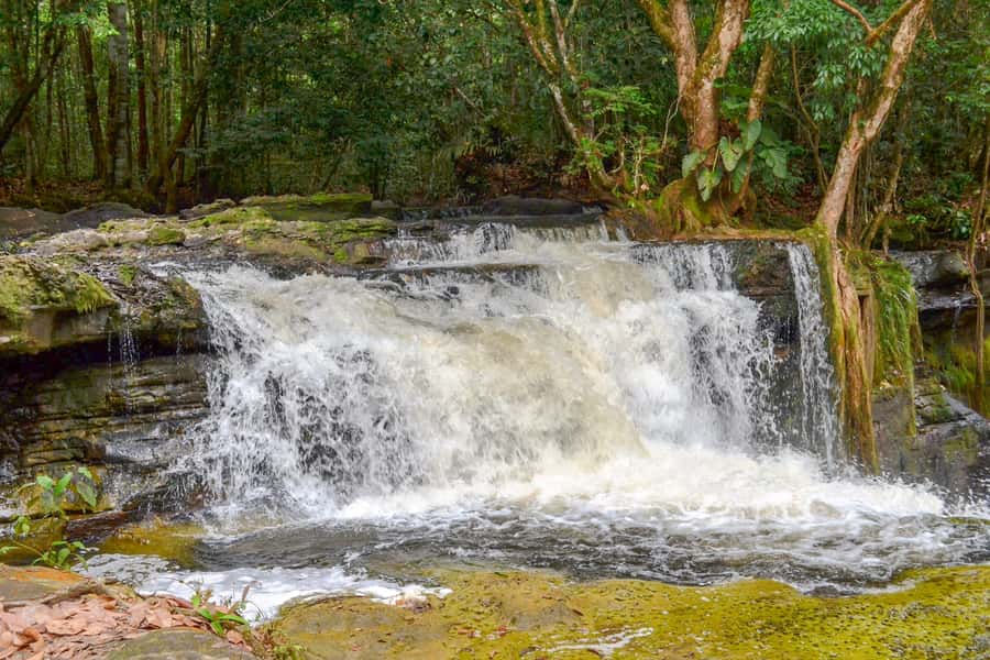 From Manaus: Presidente Figueiredo Waterfalls Daytrip - Entering Gruta do Refugio cave
