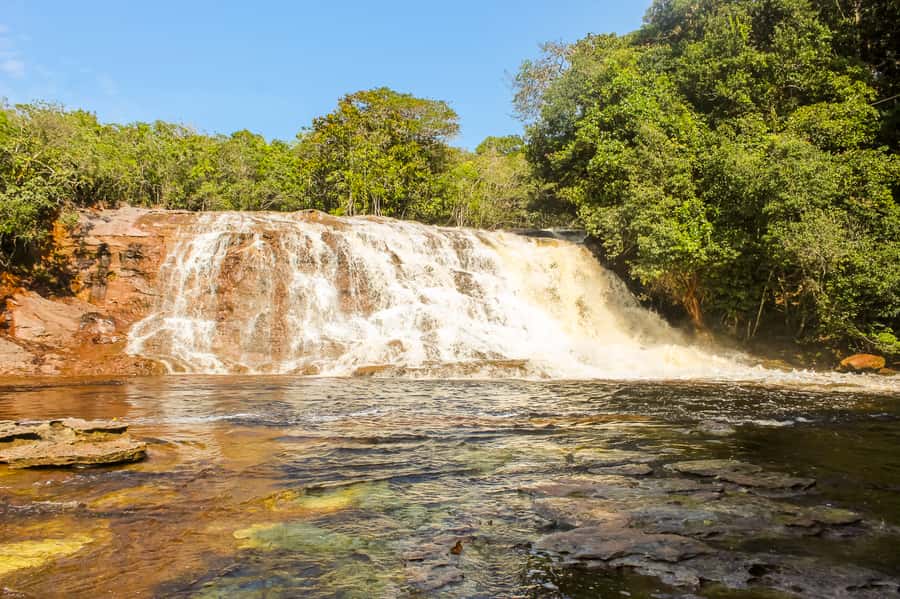 From Manaus: Presidente Figueiredo Waterfalls Daytrip - Guide quality and day-to-day organization