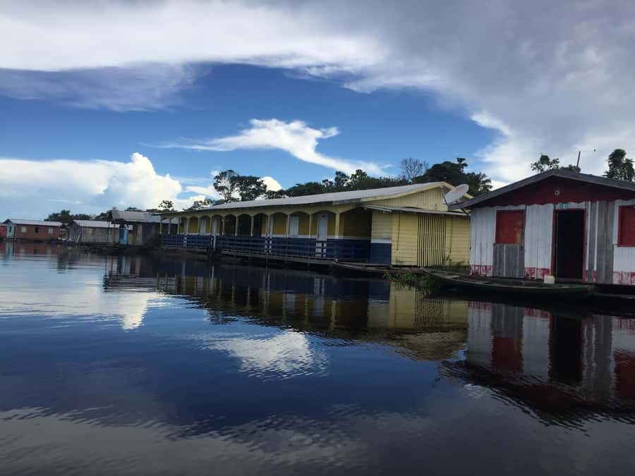 From Manuas: Full-Day River Tour - A busy Amazon day that still leaves room to look around