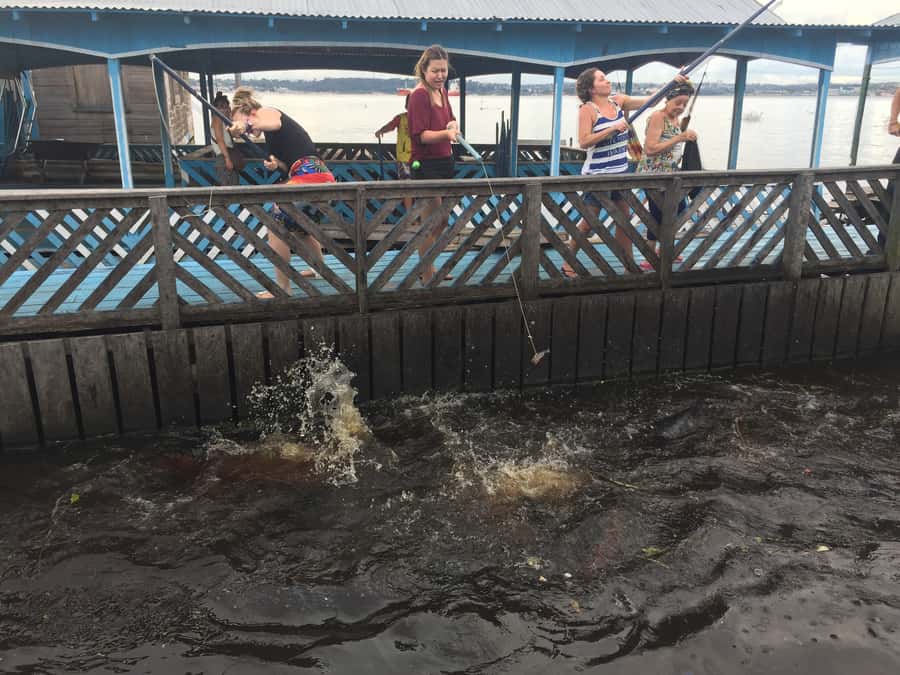 From Manuas: Full-Day River Tour - Water lilies, stilt homes, and the changing river