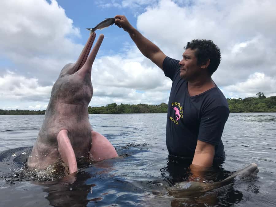 From Manuas: Full-Day River Tour - Meeting the pirarucu, the giant with scales