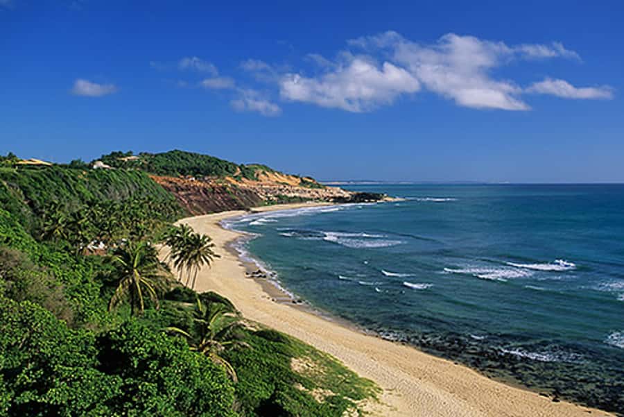 From Natal: Pipa, Cacimbinhas, And Love Beach Full-Day Tour - The road from Natal to Pipa