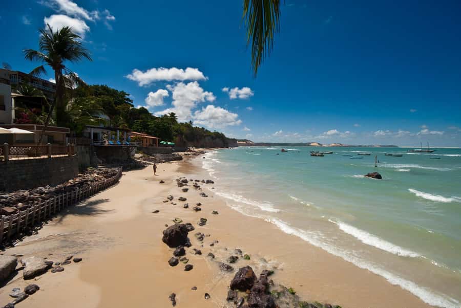 From Natal: Pipa, Cacimbinhas, And Love Beach Full-Day Tour - Looking for dolphins at Dolphins Bay