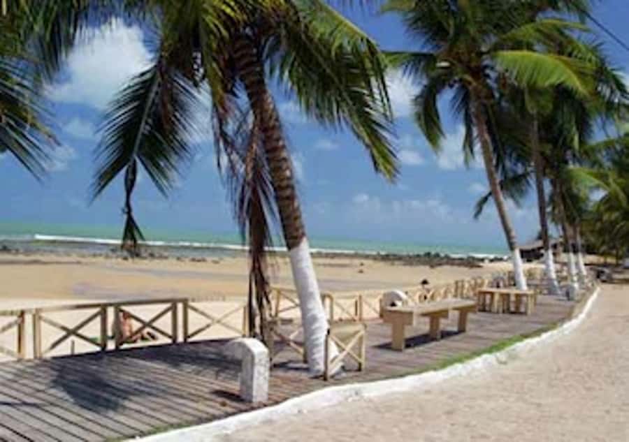 From Natal: Pipa, Cacimbinhas, And Love Beach Full-Day Tour - Free time in Pipa Village