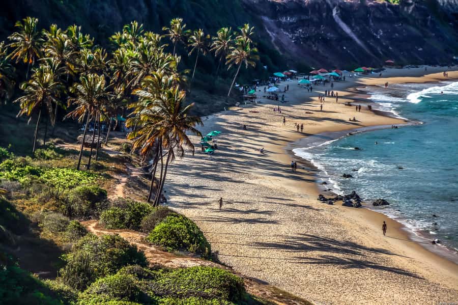 From Natal: Pipa, Cacimbinhas, And Love Beach Full-Day Tour - Swimming at Madeiro Beach