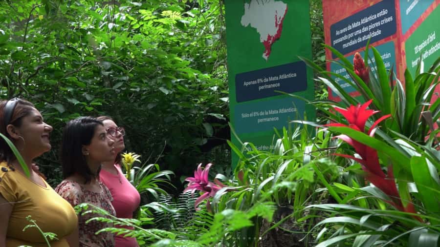 From Puerto Iguazú: Brazilian Bird Park Tour with Tickets - From Puerto Iguazú to the Brazilian side