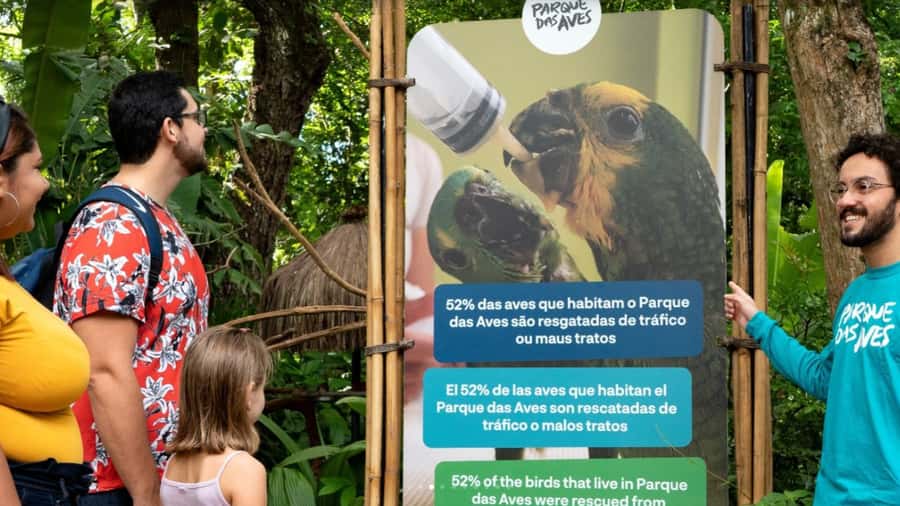 From Puerto Iguazú: Brazilian Bird Park Tour with Tickets - The two-hour walk through bird nurseries