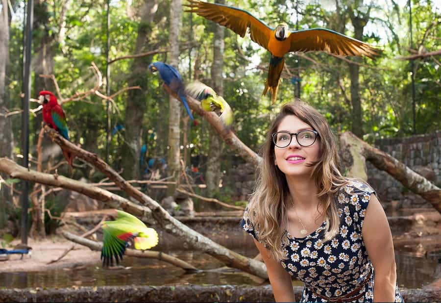 From Puerto Iguazú: Brazilian Bird Park Tour with Tickets - Is the backstage upgrade worth considering?