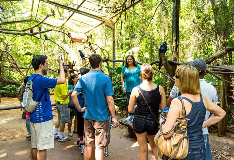 From Puerto Iguazú: Brazilian Bird Park Tour with Tickets - Lake of the Flamingos and the end of the route