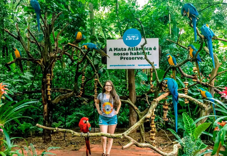 From Puerto Iguazú: Brazilian Bird Park Tour with Tickets - Four hours, a small group, and the $133 price
