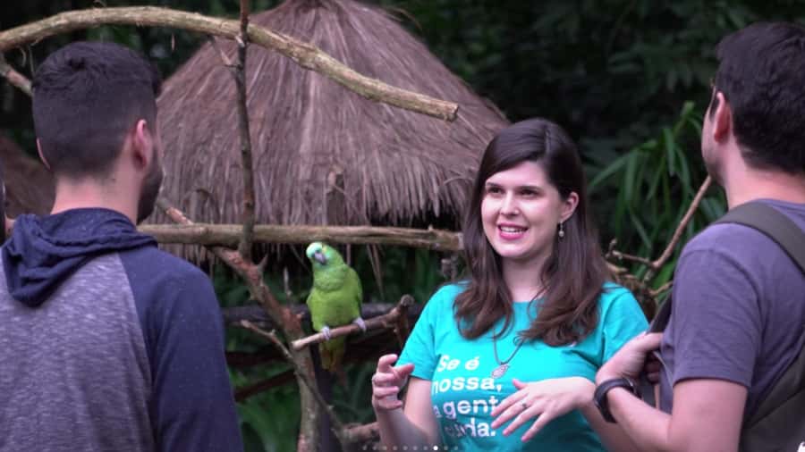 From Puerto Iguazú: Brazilian Bird Park Tour with Tickets - Who will enjoy this experience most?