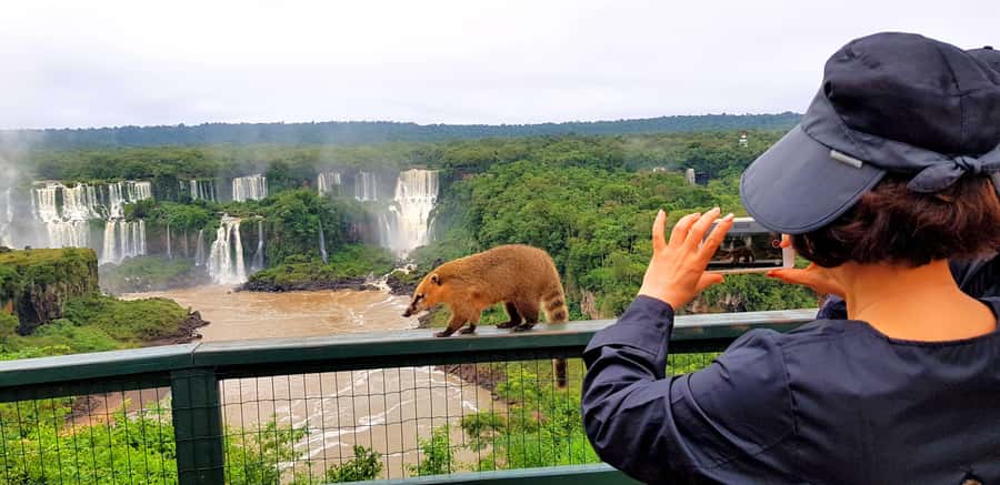 From Puerto Iguazu: Brazilian Falls with Boat Adventure - The 500-meter walk to the river