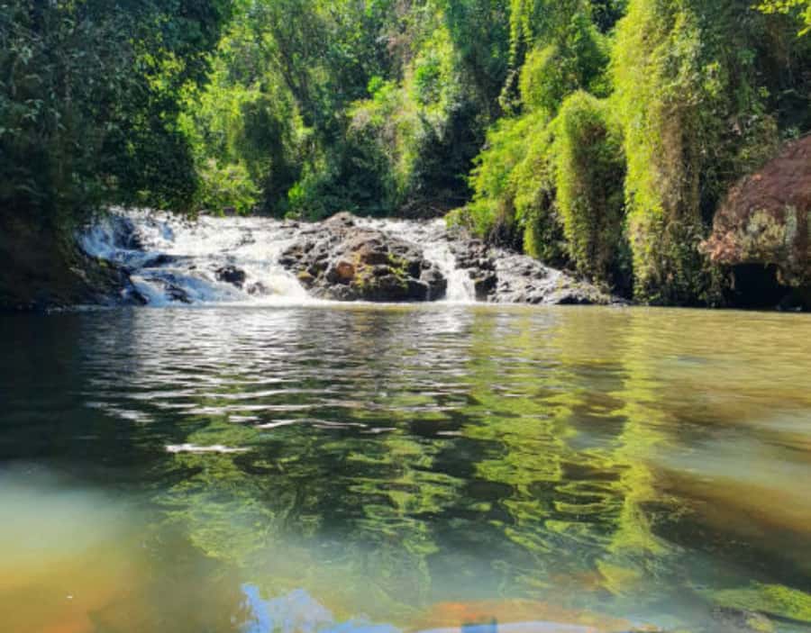 From Puerto Iguazu: Secret Falls Adventure - Key points to know before you book