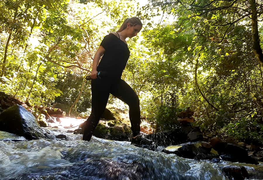 From Puerto Iguazu: Secret Falls Adventure - Hiking the subtropical forest trails