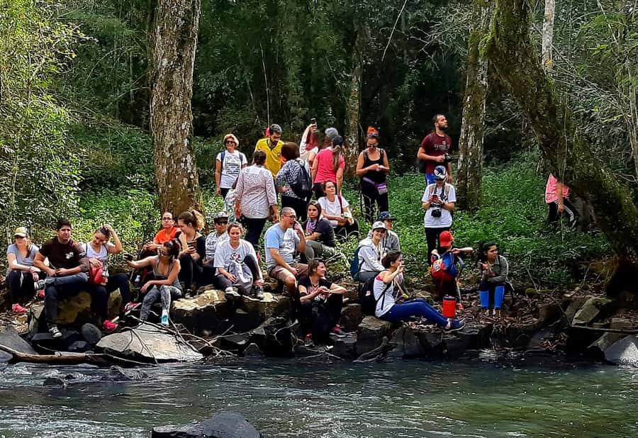 From Puerto Iguazu: Secret Falls Adventure - Five waterfalls on the half-day route
