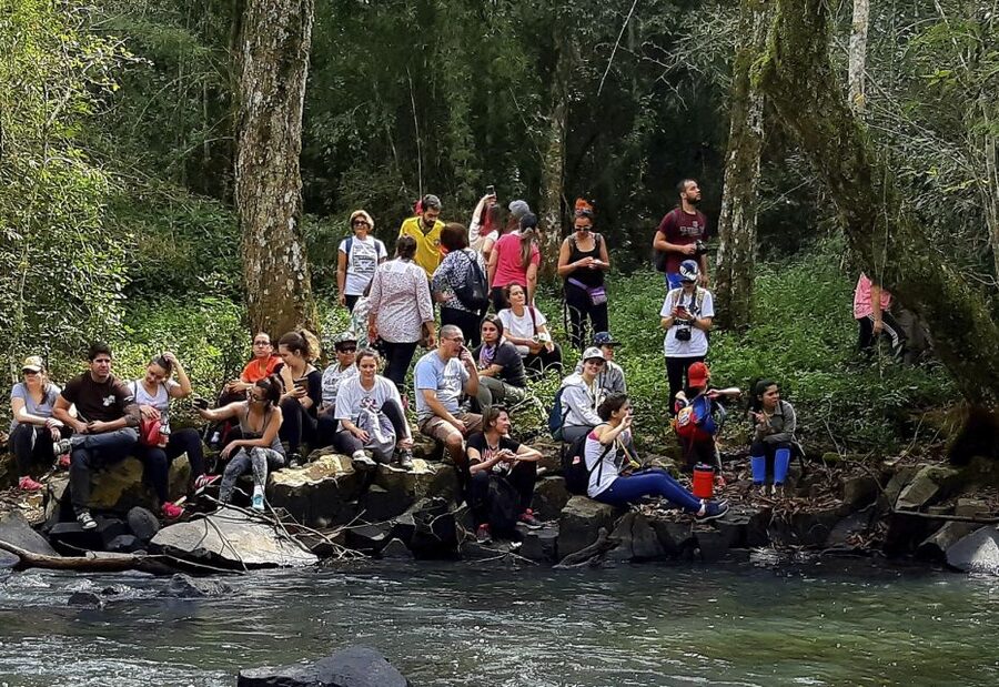 From Puerto Iguazu: Secret Falls Adventure - Who should book this experience