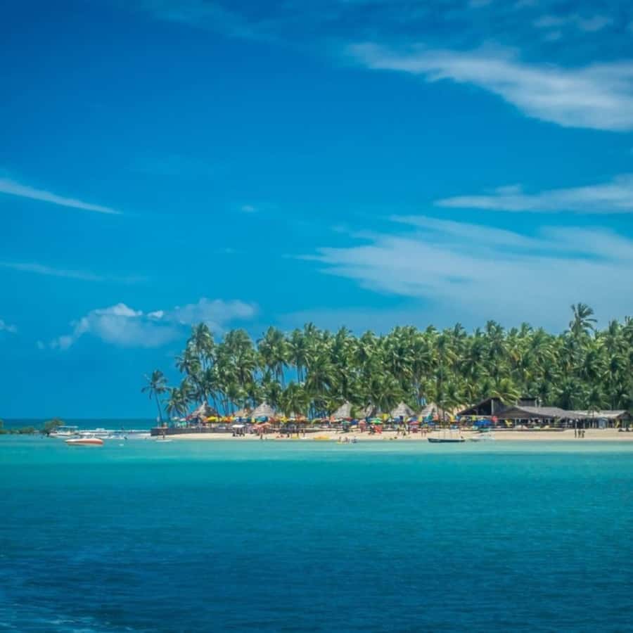 From Recife : Carneiros Beach - Arriving at the seafront support point