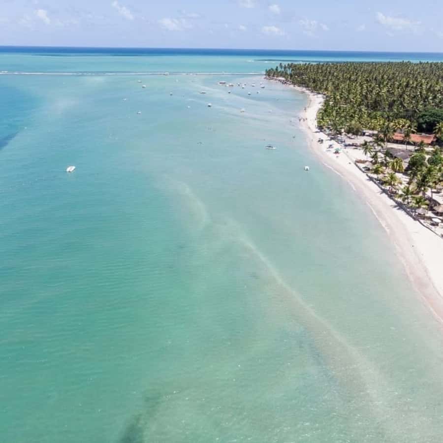 From Recife : Carneiros Beach - The early pickup from Boa Viagem and Piedade
