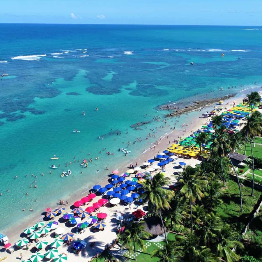From Recife : Tour for Porto de Galinhas - The village, shops, and time away from the water