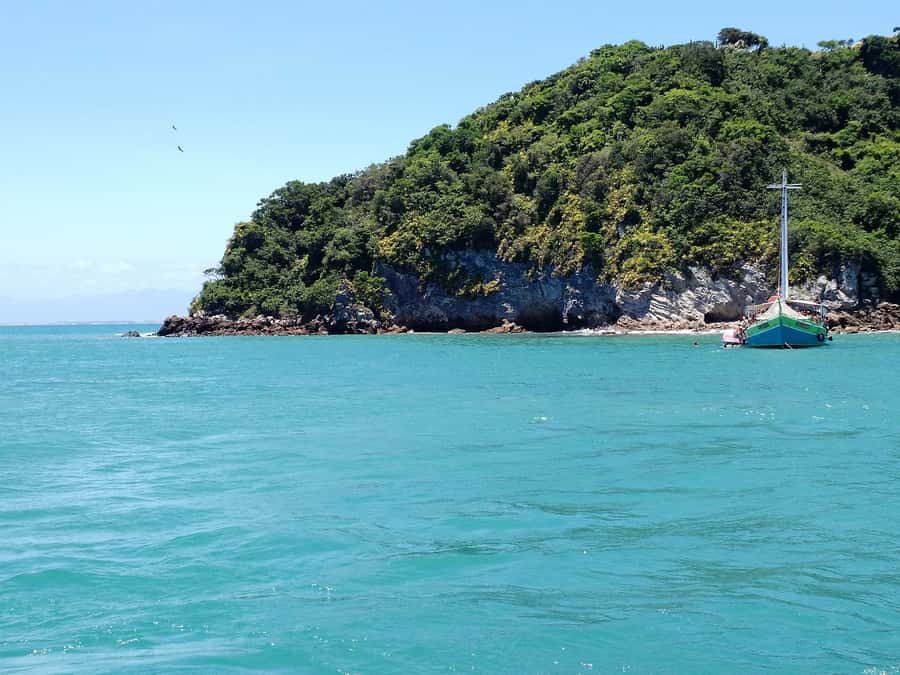 From Rio: Búzios with Boat Tour and Lunch - The Long Road From Rio to Búzios