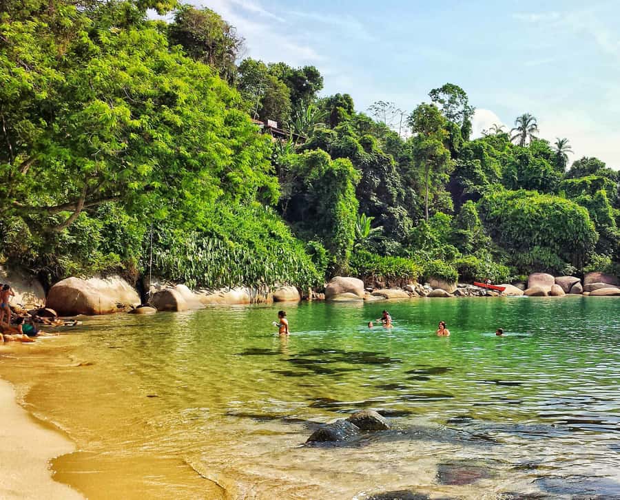 From Rio de Janeiro: Angra dos Reis Boat Trip with Lunch - A long road from Rio to Angra dos Reis