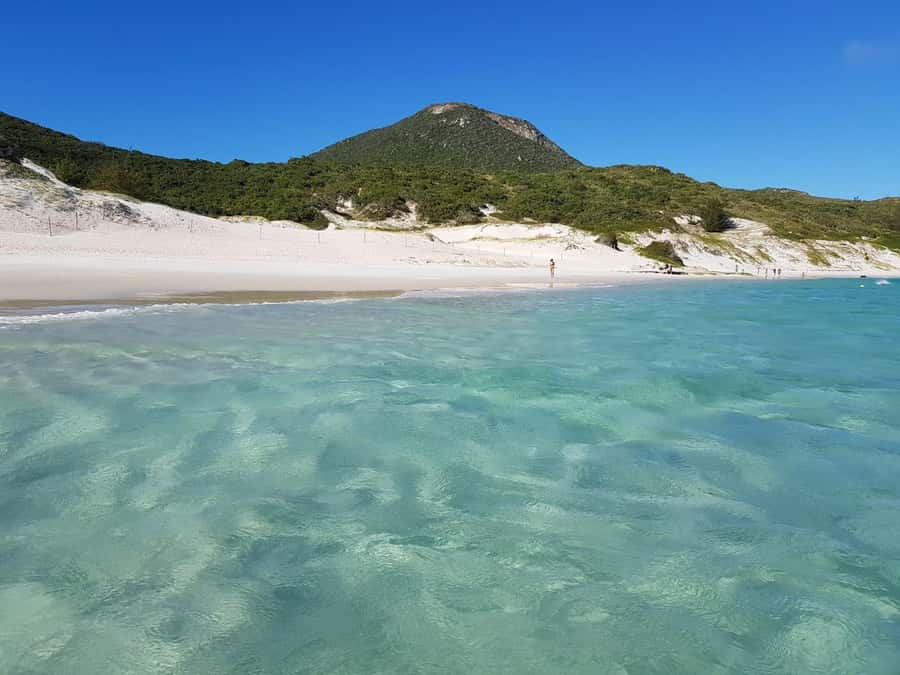 From Rio de Janeiro: Arraial do Cabo Island Day Trip - Why Arraial do Cabo earns the long ride from Rio