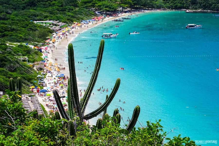 From Rio de Janeiro: Arraial do Cabo Island Day Trip - Who will enjoy this 14-hour excursion