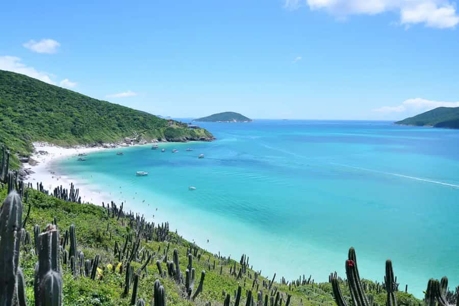 From Rio de Janeiro: Arraial do Cabo Island Day Trip - A very early start and a long road to the coast