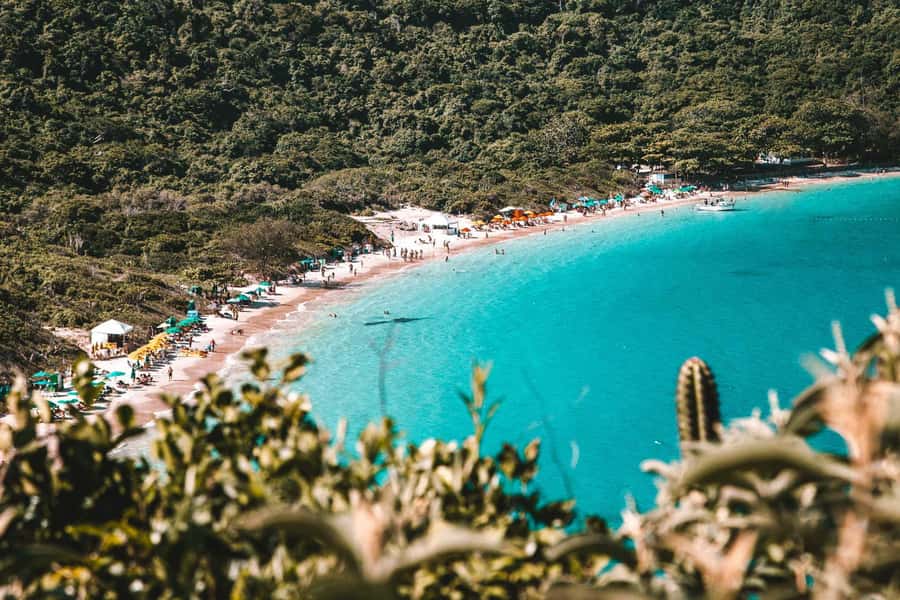 From Rio de Janeiro: Arraial do Cabo Island Day Trip - Clear water, marine life, and what to bring