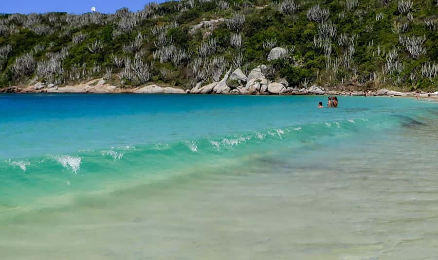 From Rio de Janeiro: Arraial do Cabo Island Day Trip - Weather can replace the boat route