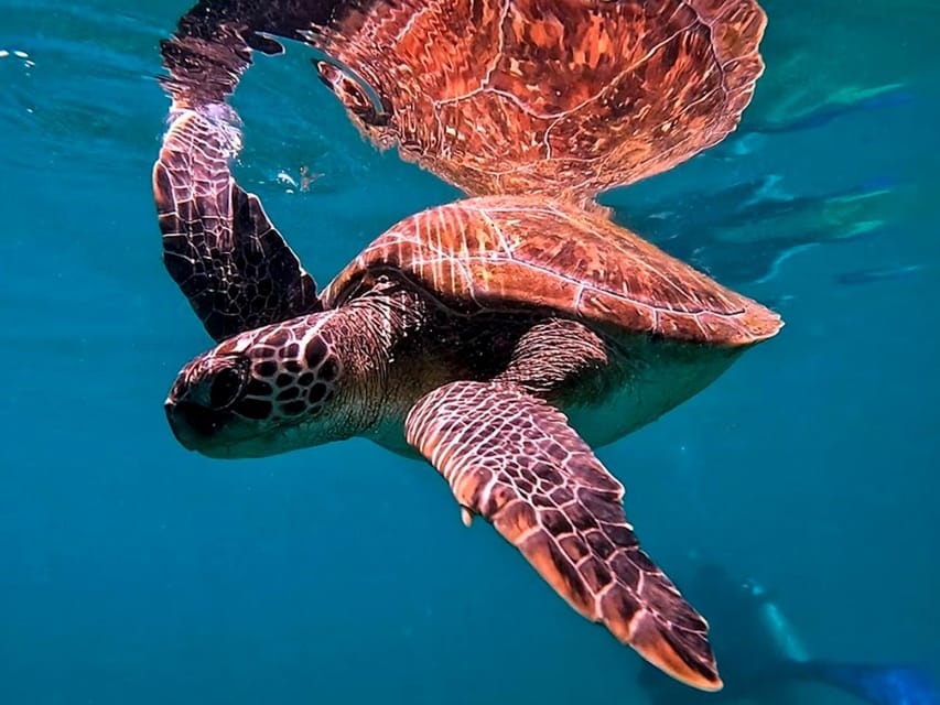 from Rio de Janeiro: Diving in Buzios - What the $150 price really covers