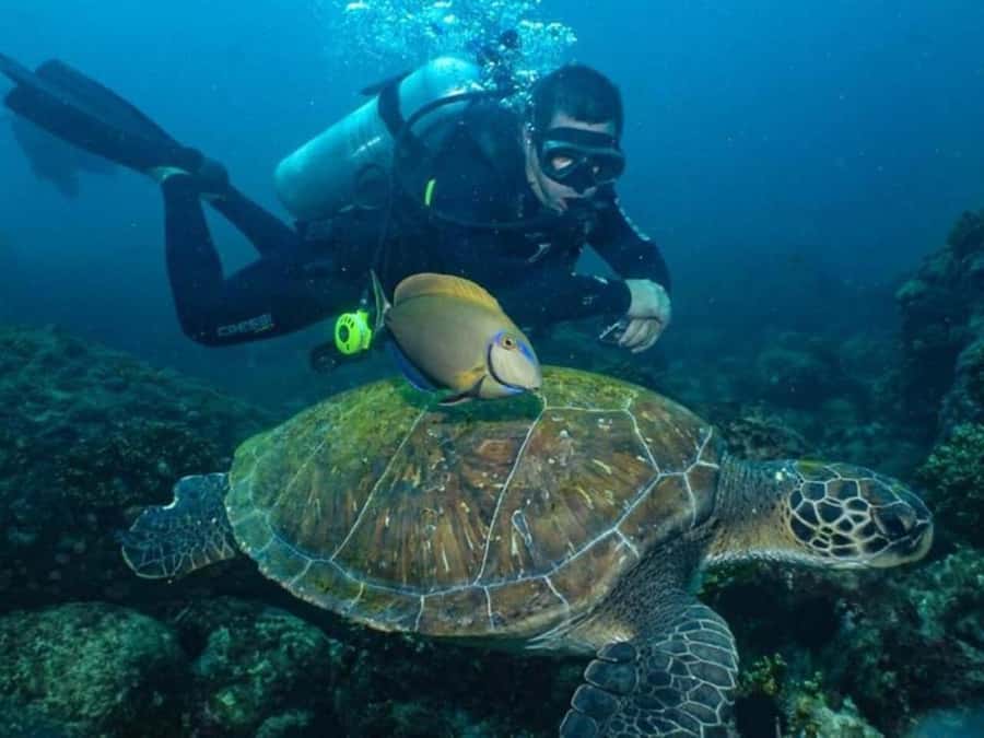 from Rio de Janeiro: Diving in Buzios - Should you book it?