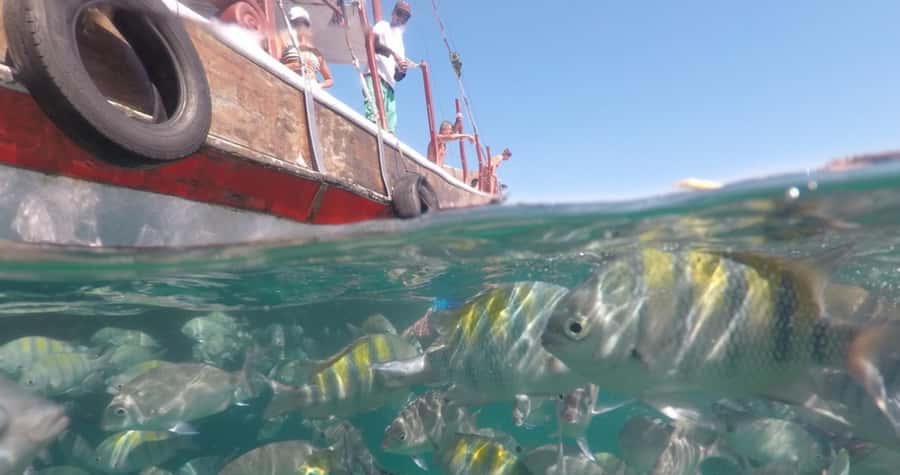 From Rio de Janeiro: Ilha Grande Day Trip - Two beach stops, with crowds in the picture