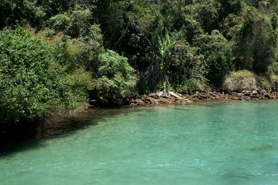 From Rio: Full-Day Angra dos Reis Cruise & Island Tour - Lunch is included, drinks are extra