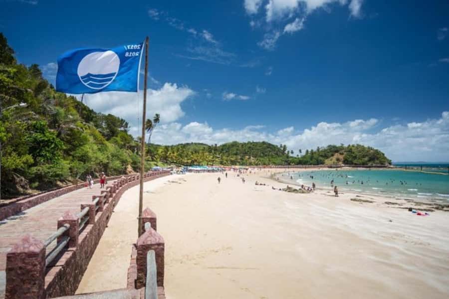 From Salvador: Schooner Tour to Frades Island - Seeing Salvador from the bay