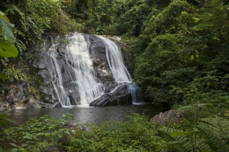 From São Paulo: Private Tour of Atlantic Forest & Valleys - What the private format changes