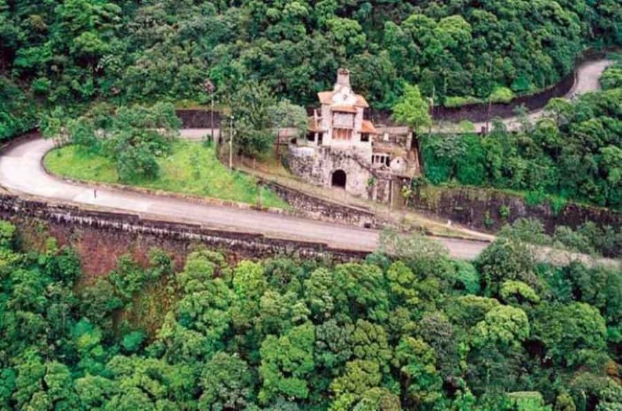 From São Paulo: Private Tour of Atlantic Forest & Valleys - Price and what you receive for $333